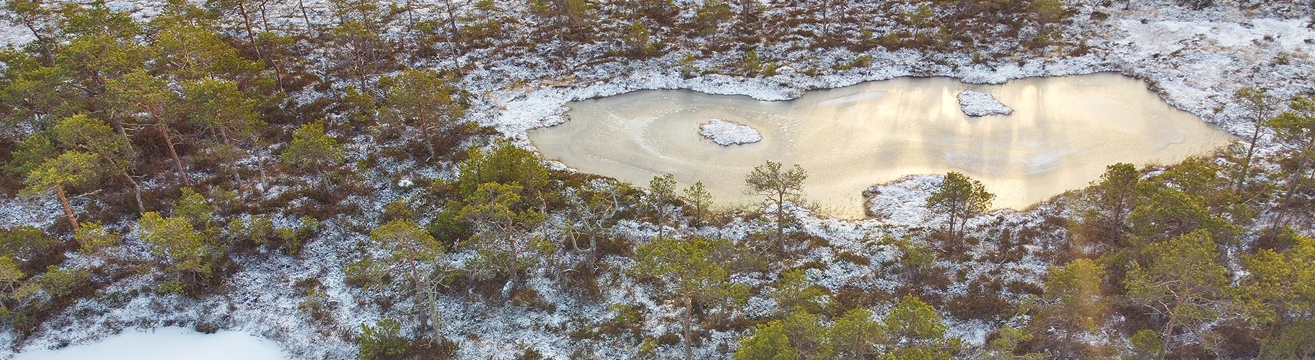 Winter day in Marimetsa bog