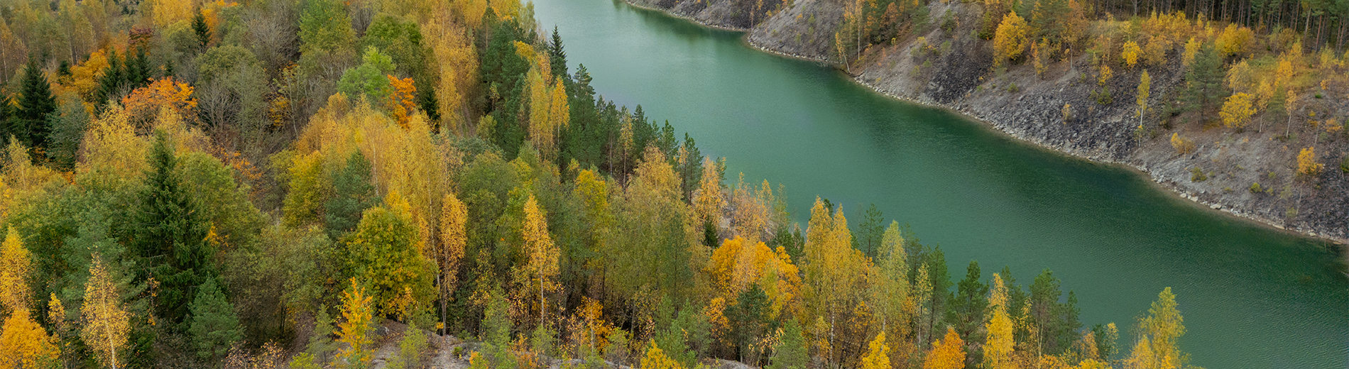 Sügisene Aidu karjäär